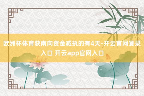 欧洲杯体育获南向资金减执的有4天-开云官网登录入口 开云app官网入口