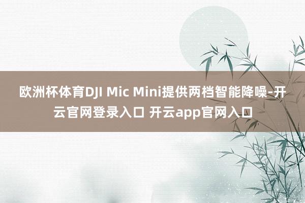 欧洲杯体育DJI Mic Mini提供两档智能降噪-开云官网登录入口 开云app官网入口