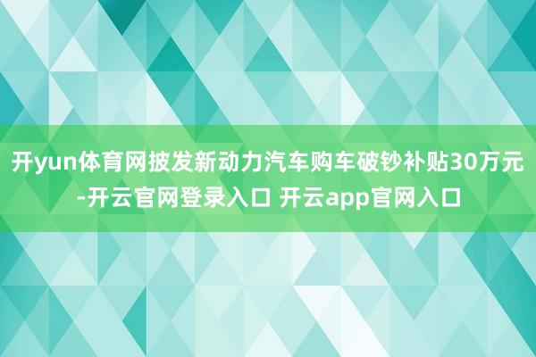 开yun体育网披发新动力汽车购车破钞补贴30万元-开云官网登录入口 开云app官网入口